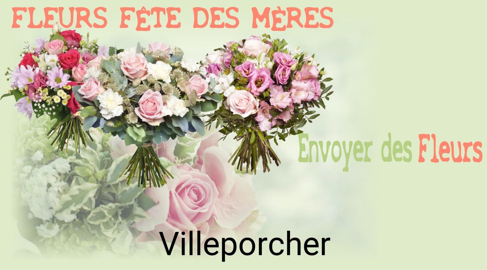 Bouquet de Fête des Mères livré à Villeporcher
